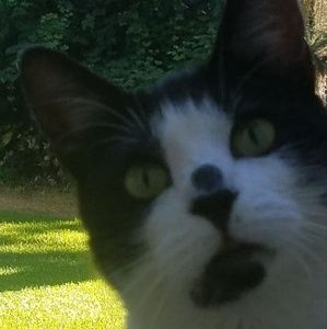 Meet your Posher, Jane